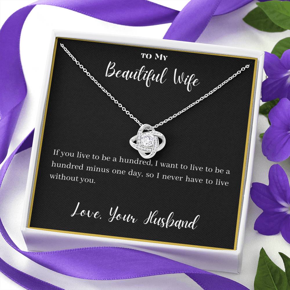 To My Beautiful Wife Necklace Gift